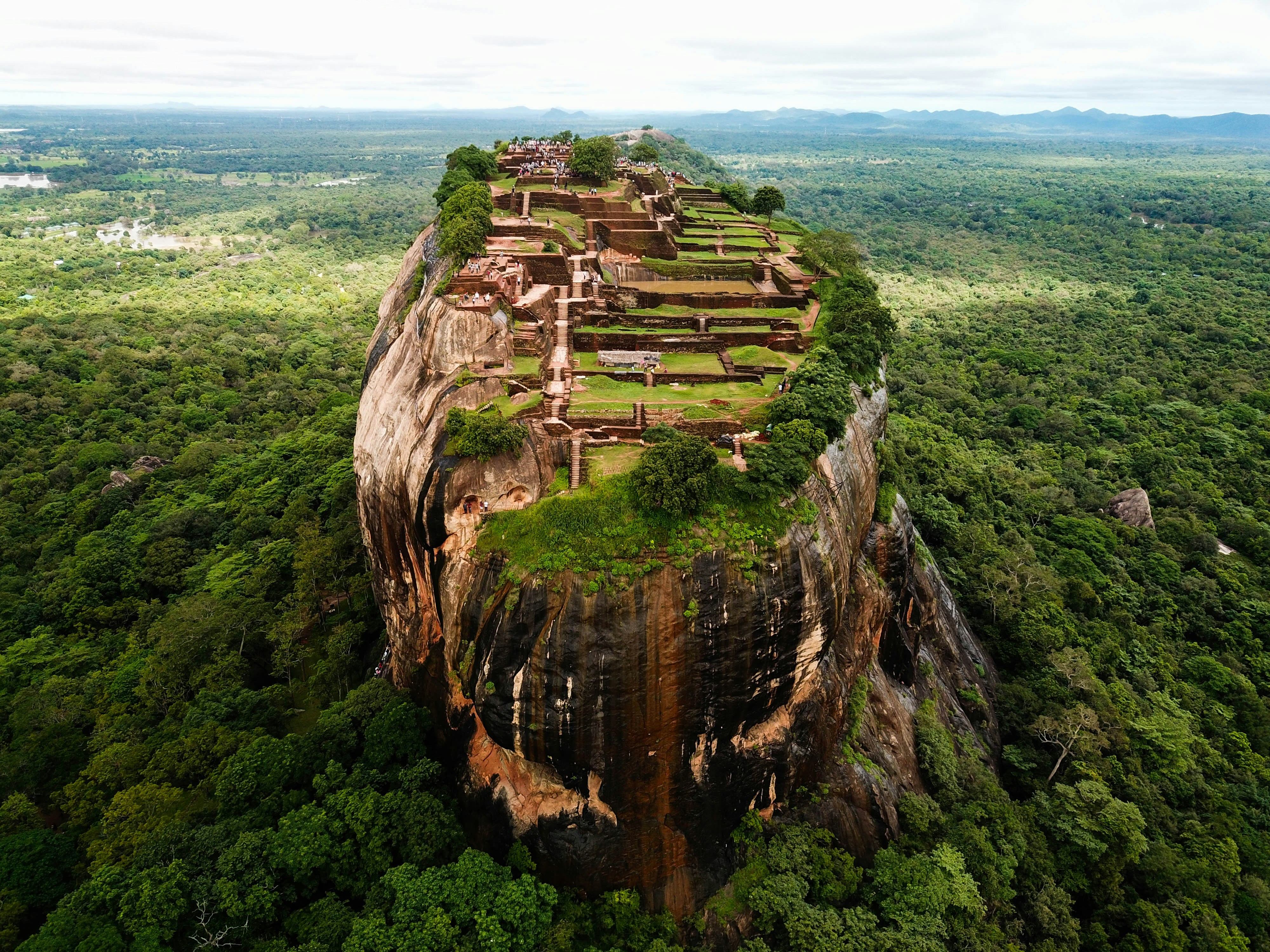 Wilpattu National Park Full Day Wildlife Safari